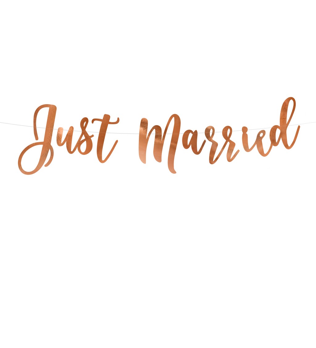 Banner Just Married - rose gold