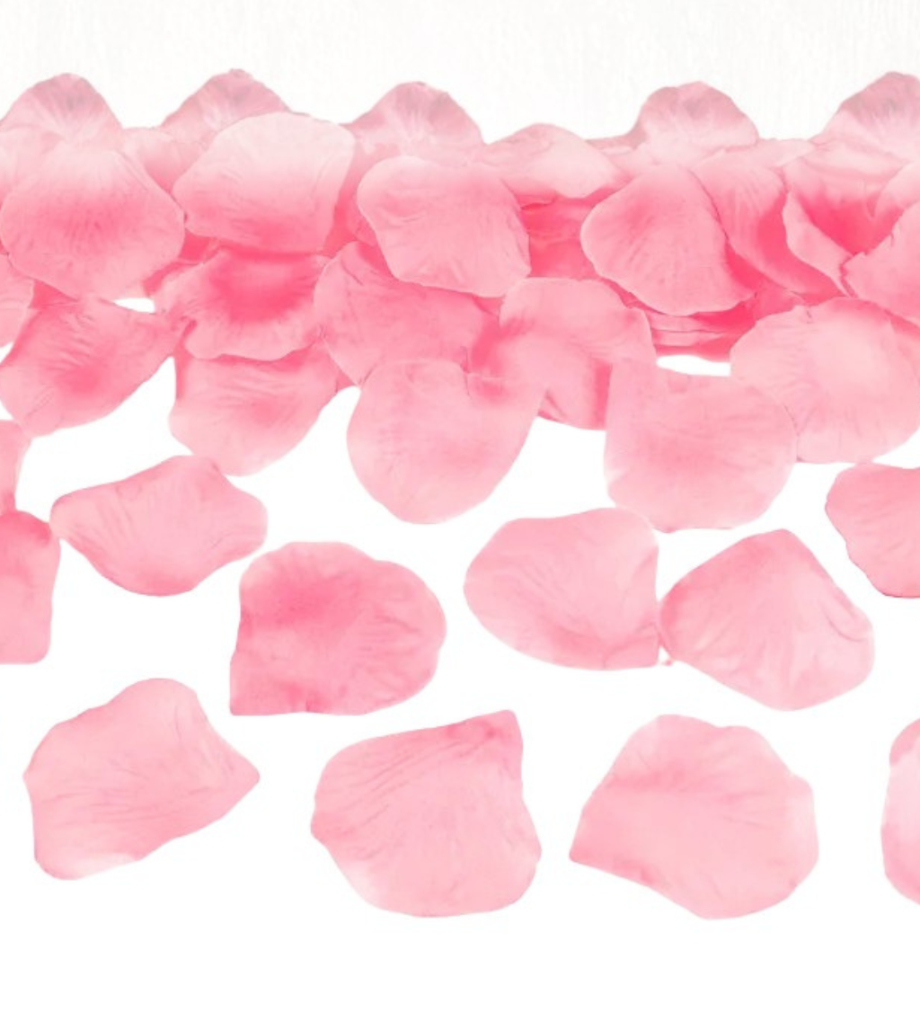 Světle růžové okvětní lístky růží