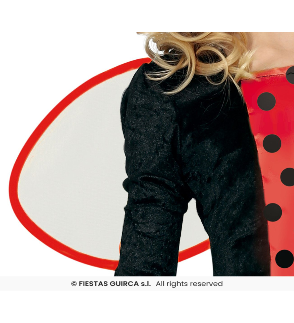 Dětský kostým - Beruška