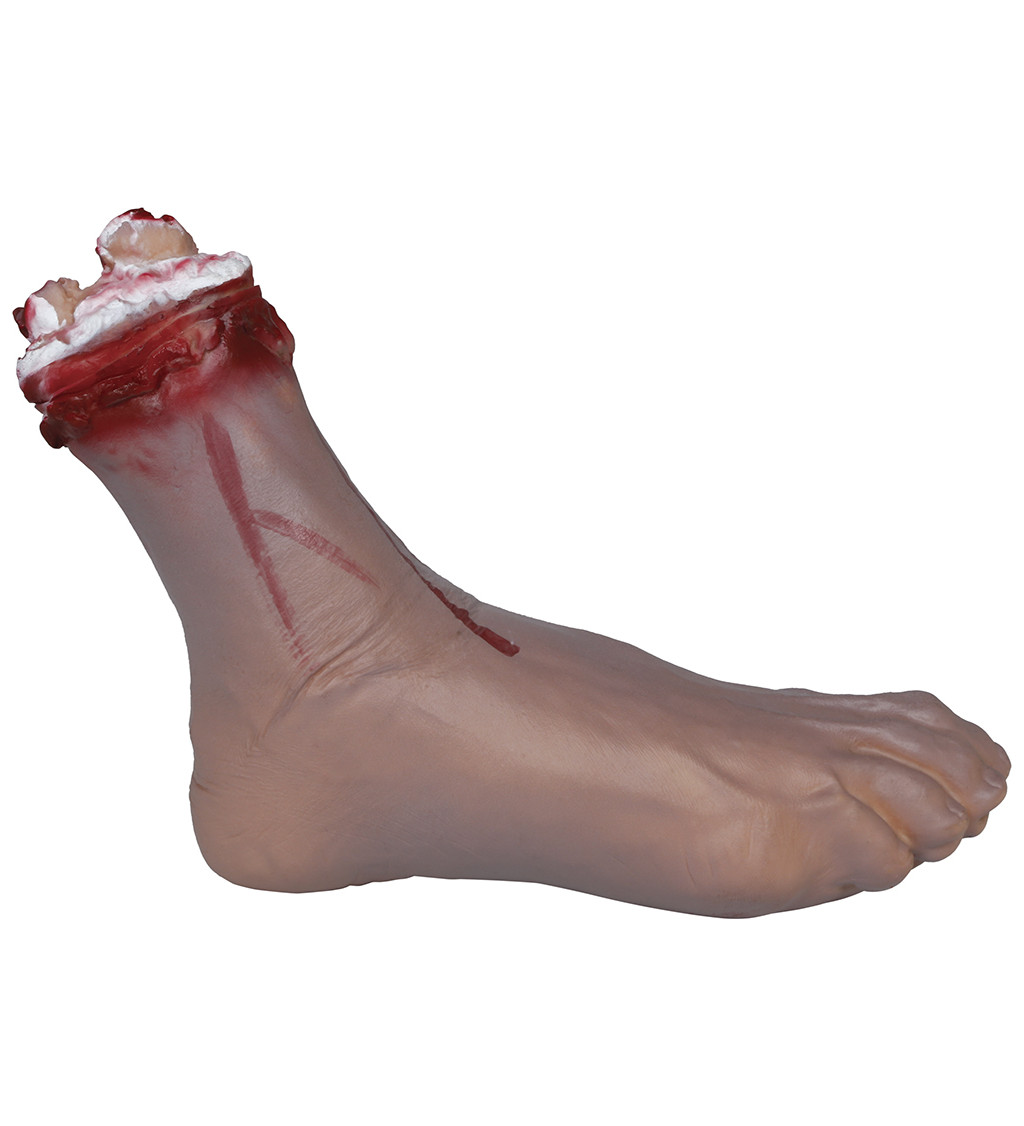 Useknutá noha 31 cm